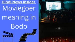 Moviegoer meaning in Bodo